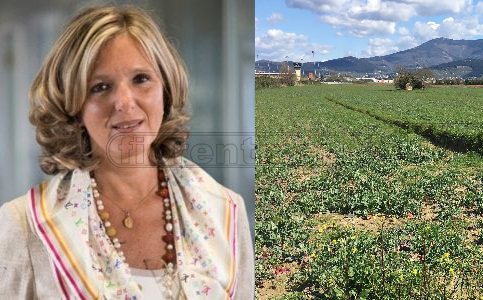 Carla Casini: "Con Rocco un preludio di operazione. Stadio? Speriamo. Campi è Firenze"