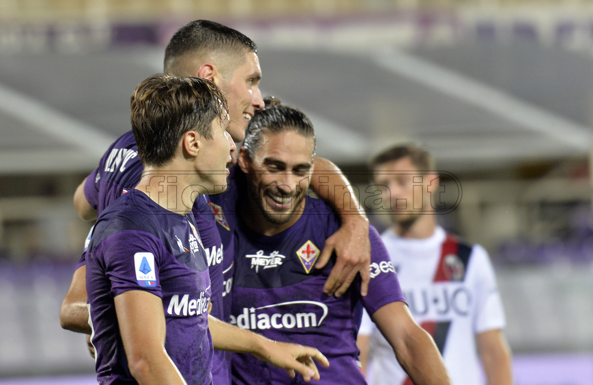 La giornata viola, il riassunto