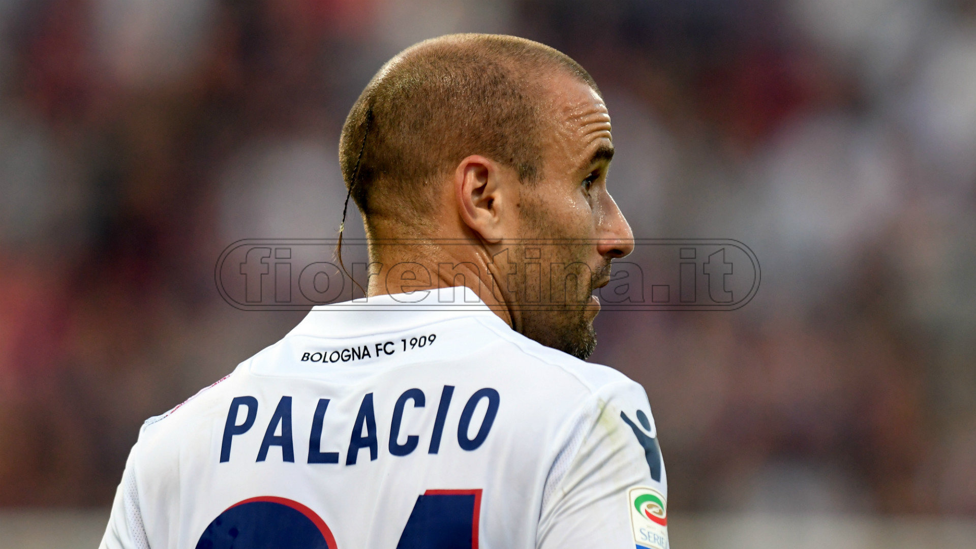 Palacio ammonito in Bologna-Lecce: era diffidato, non ci sarà a Firenze