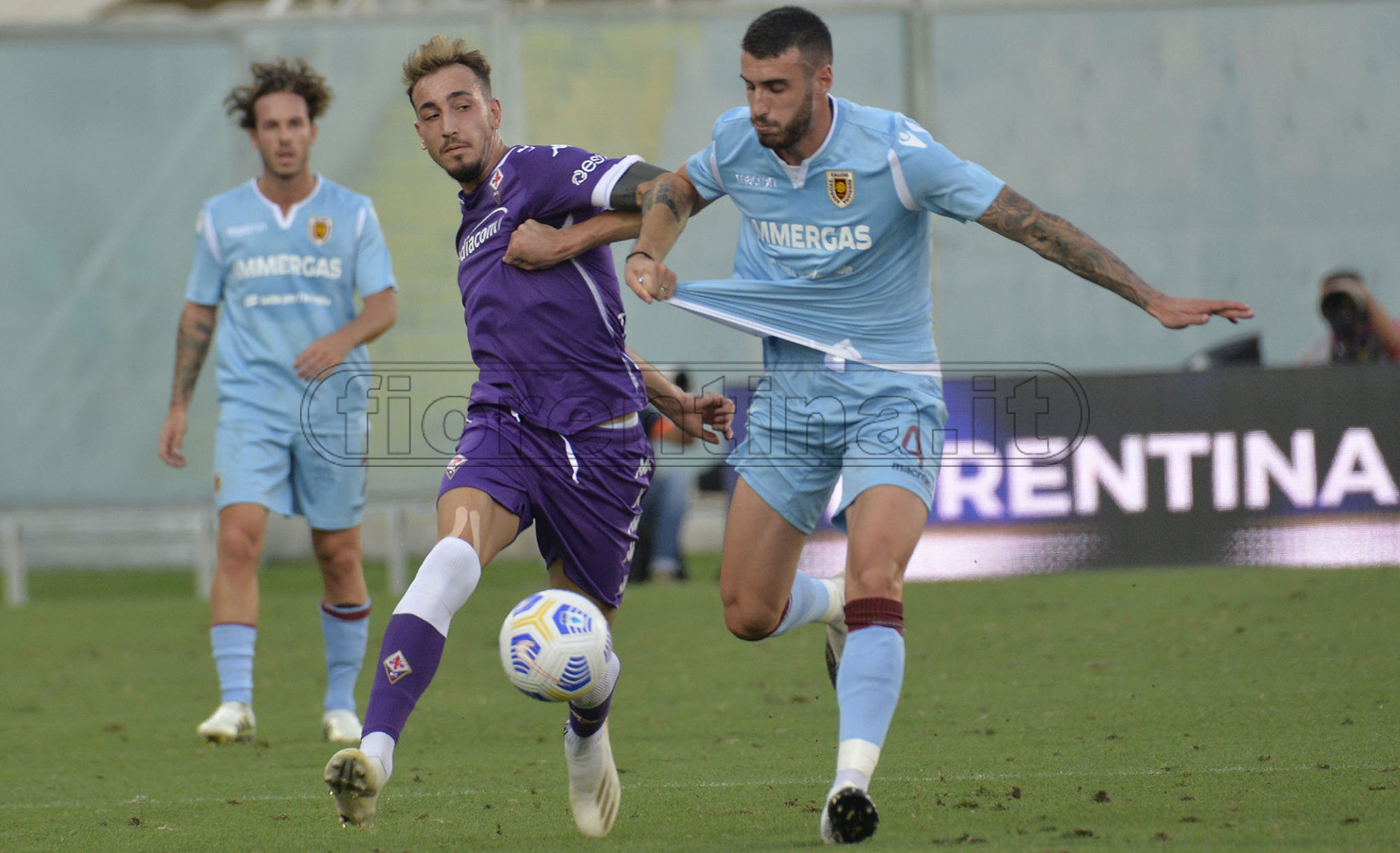 La giornata viola, il riassunto
