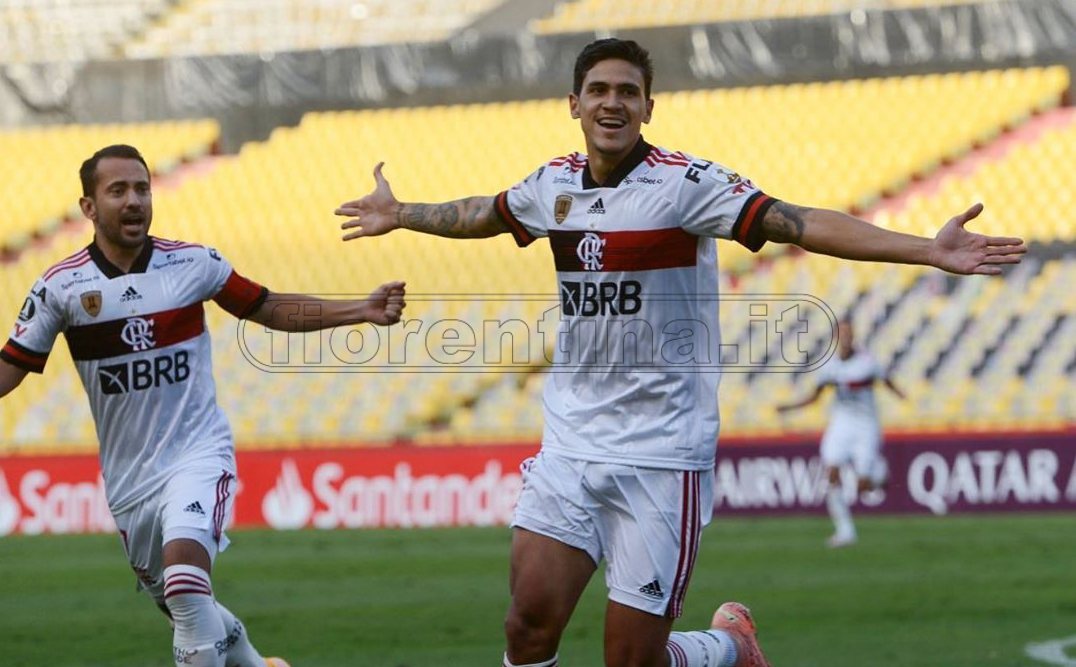 Pedro non si ferma più: doppietta con il Flamengo (VIDEO)
