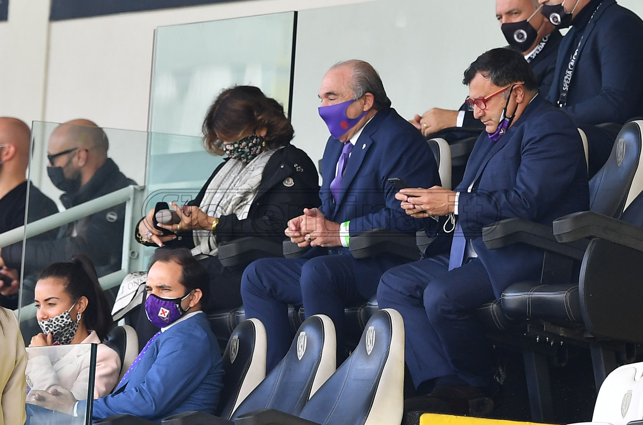 La giornata viola, il riassunto