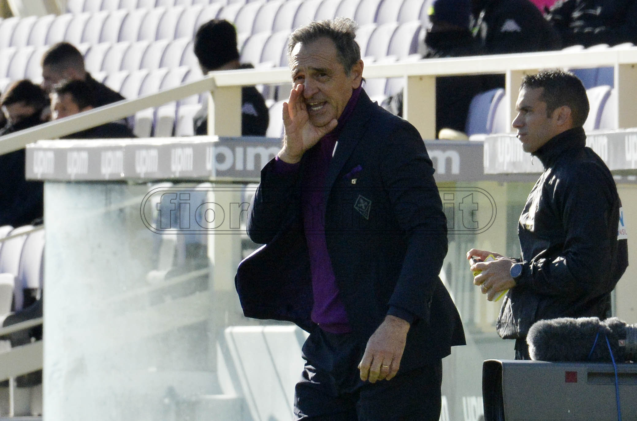 La giornata viola, il riassunto