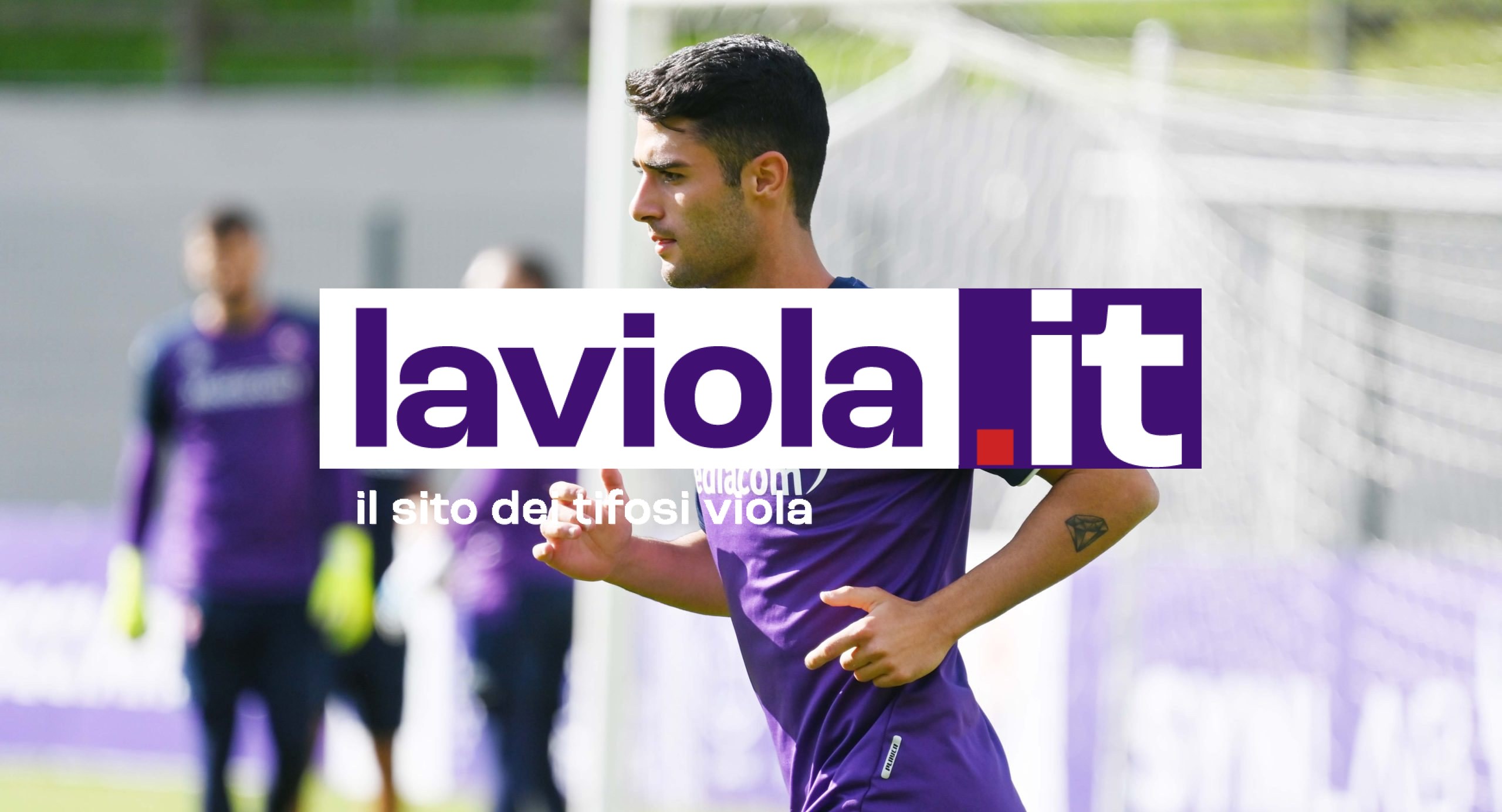 IND. VI.IT - Ferrarini, trattativa (lunga) con il Verona. Si va verso cessione a titolo definitivo