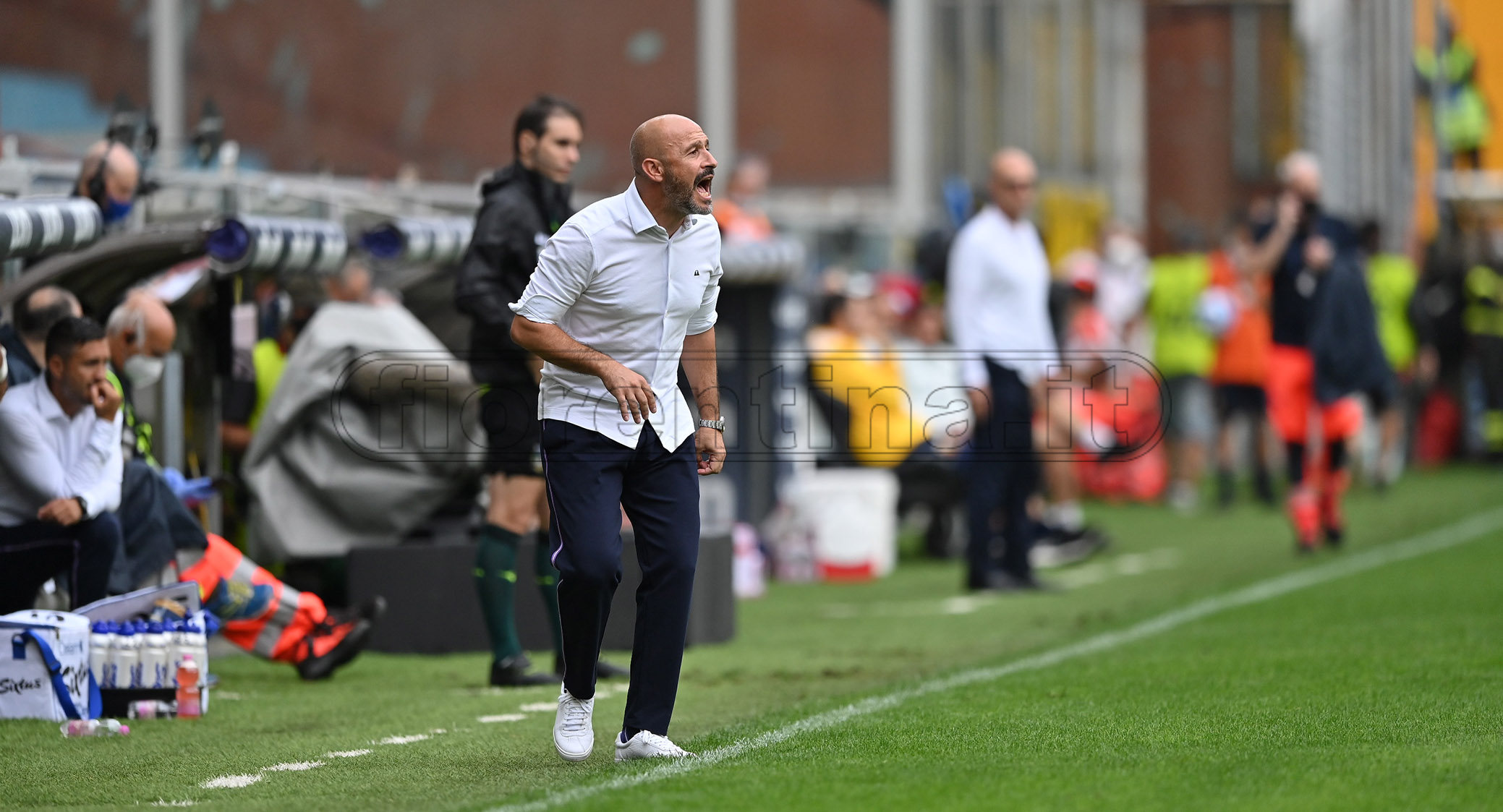 Italiano vs Genoa: 4 precedenti, 2 vittorie e 2 ko per il tecnico viola contro i rossoblù