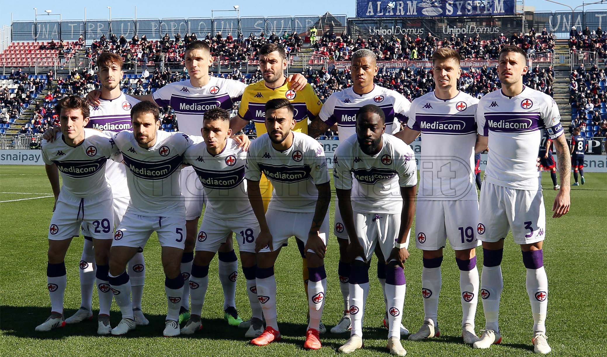 La giornata viola, il riassunto