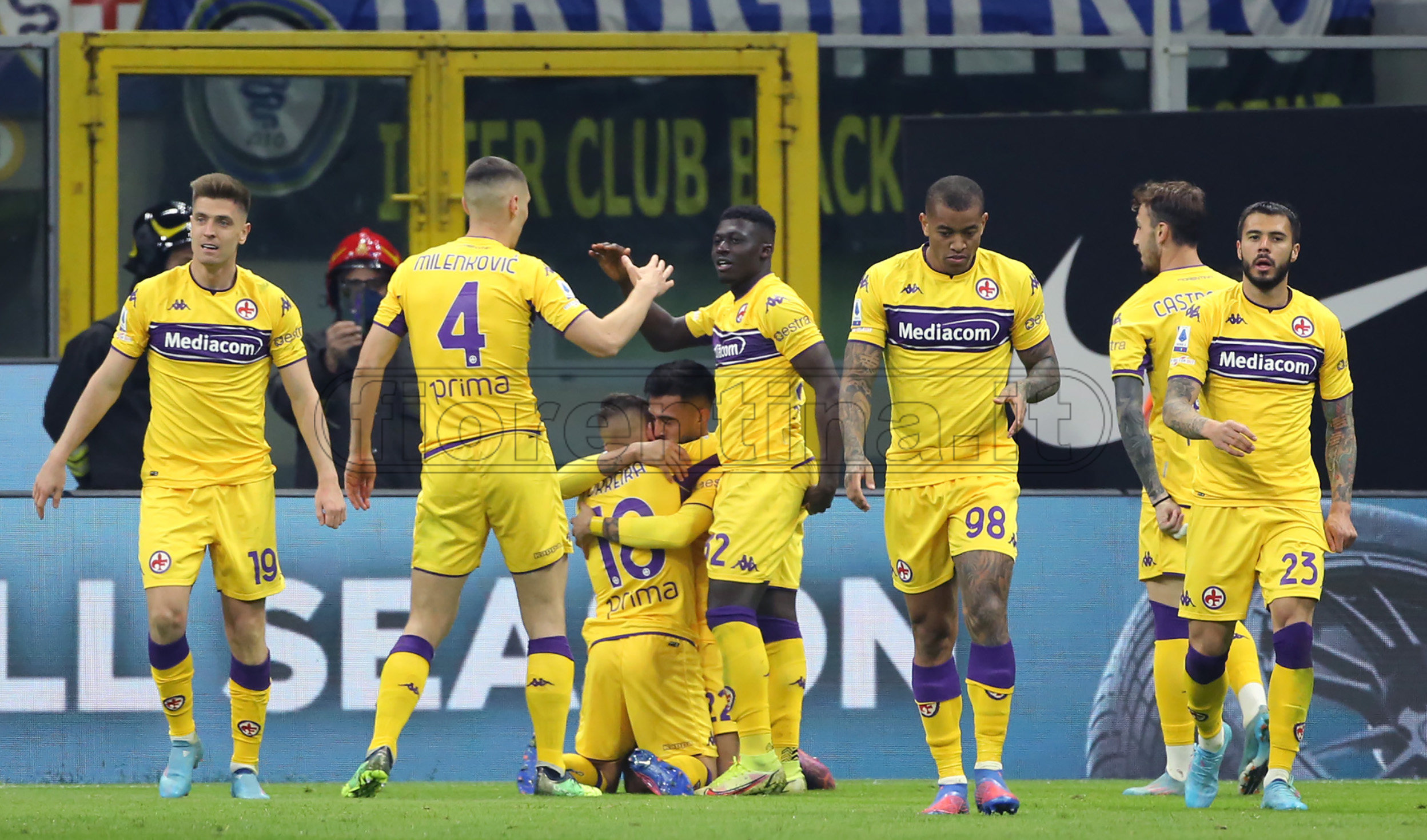 La giornata viola, il riassunto