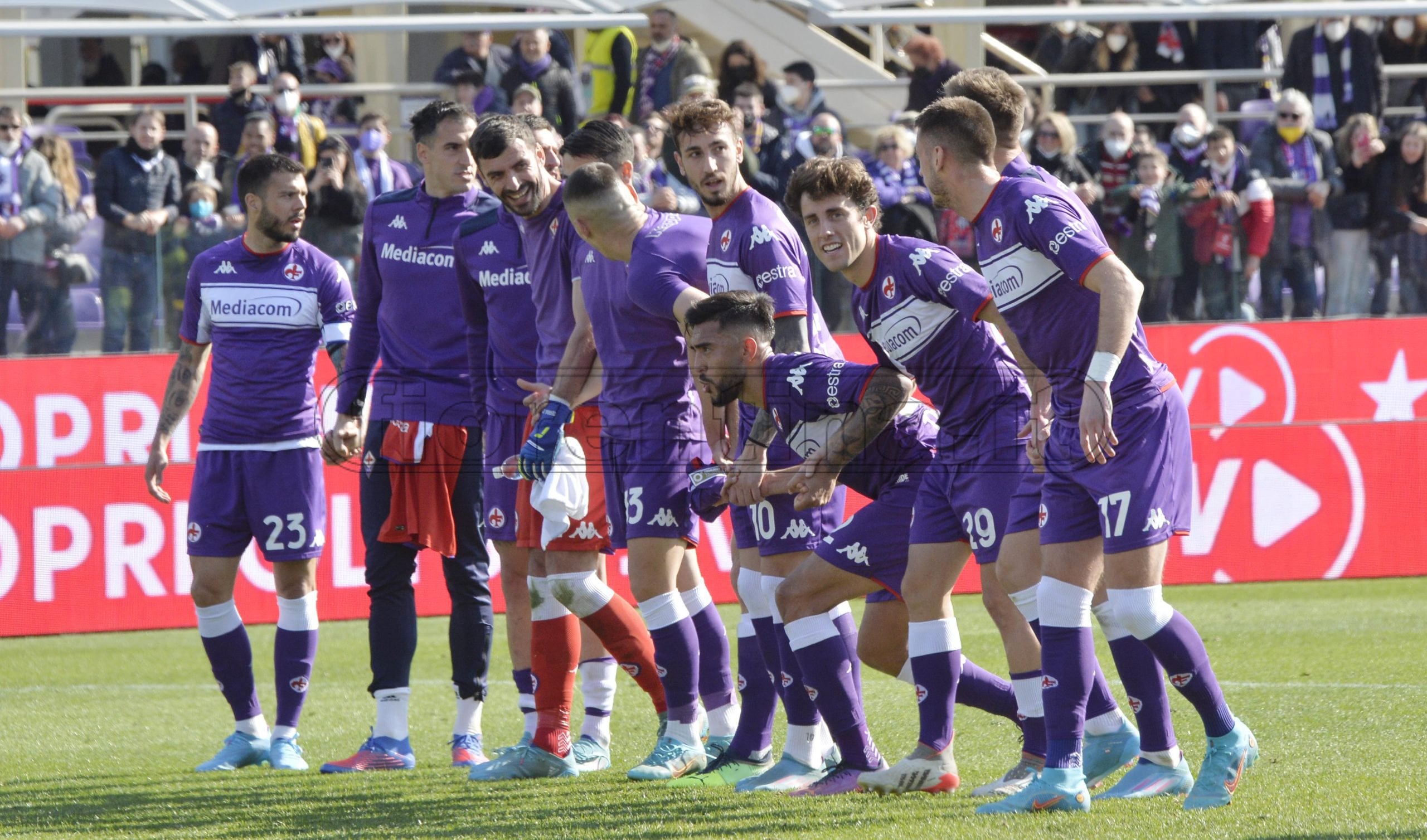La giornata viola, il riassunto