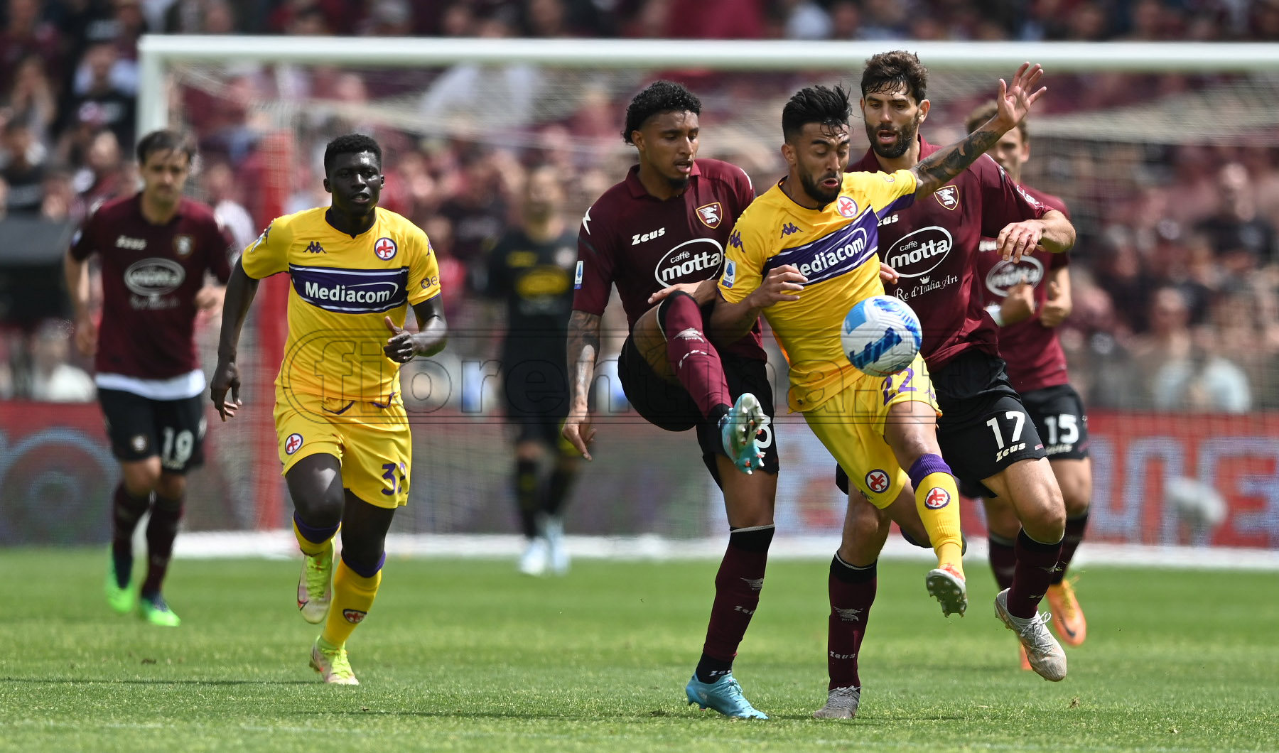 Fiorentina- Salernitana, squadre a confronto: caccia al sorpasso sui campani per i viola
