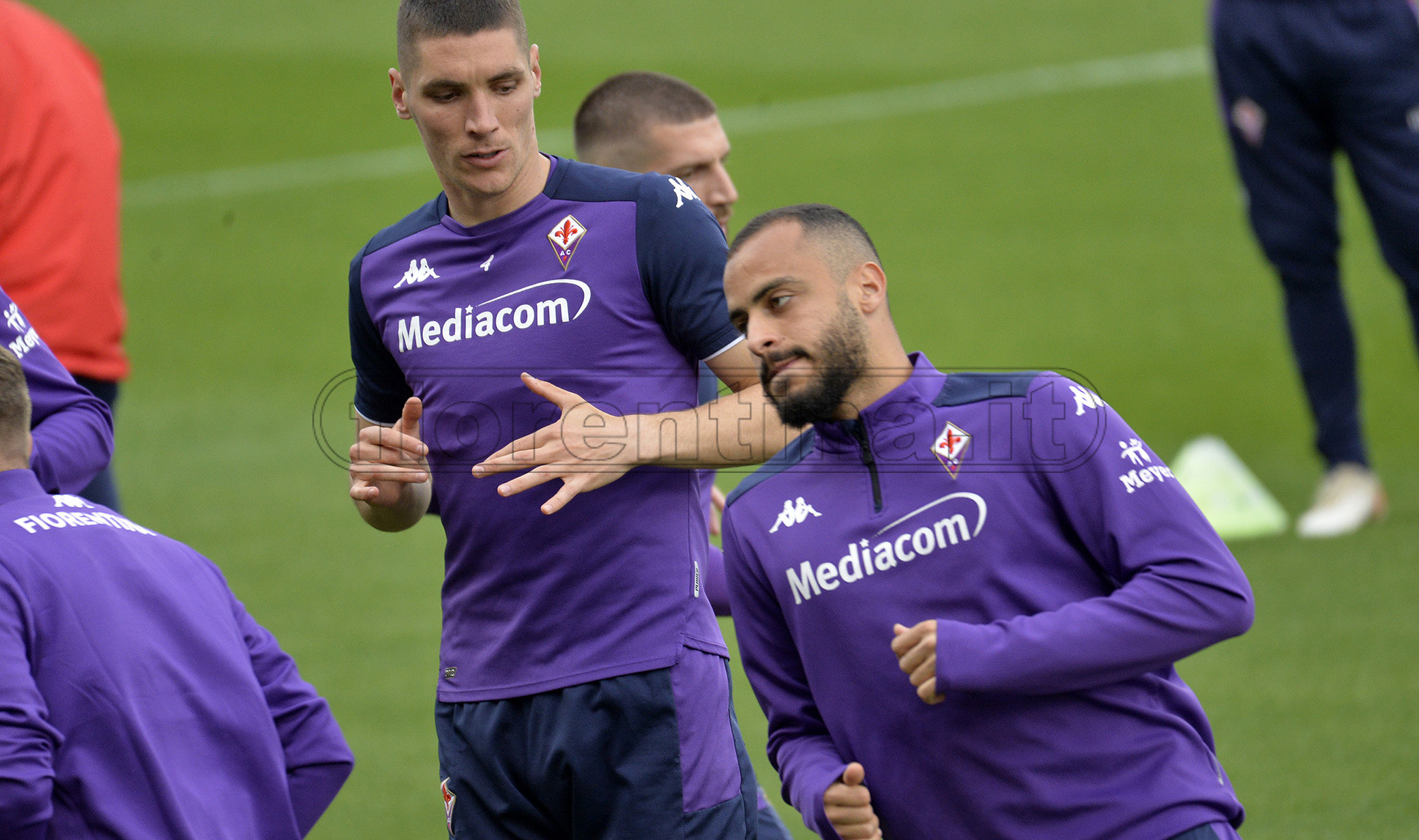 La giornata viola, il riassunto