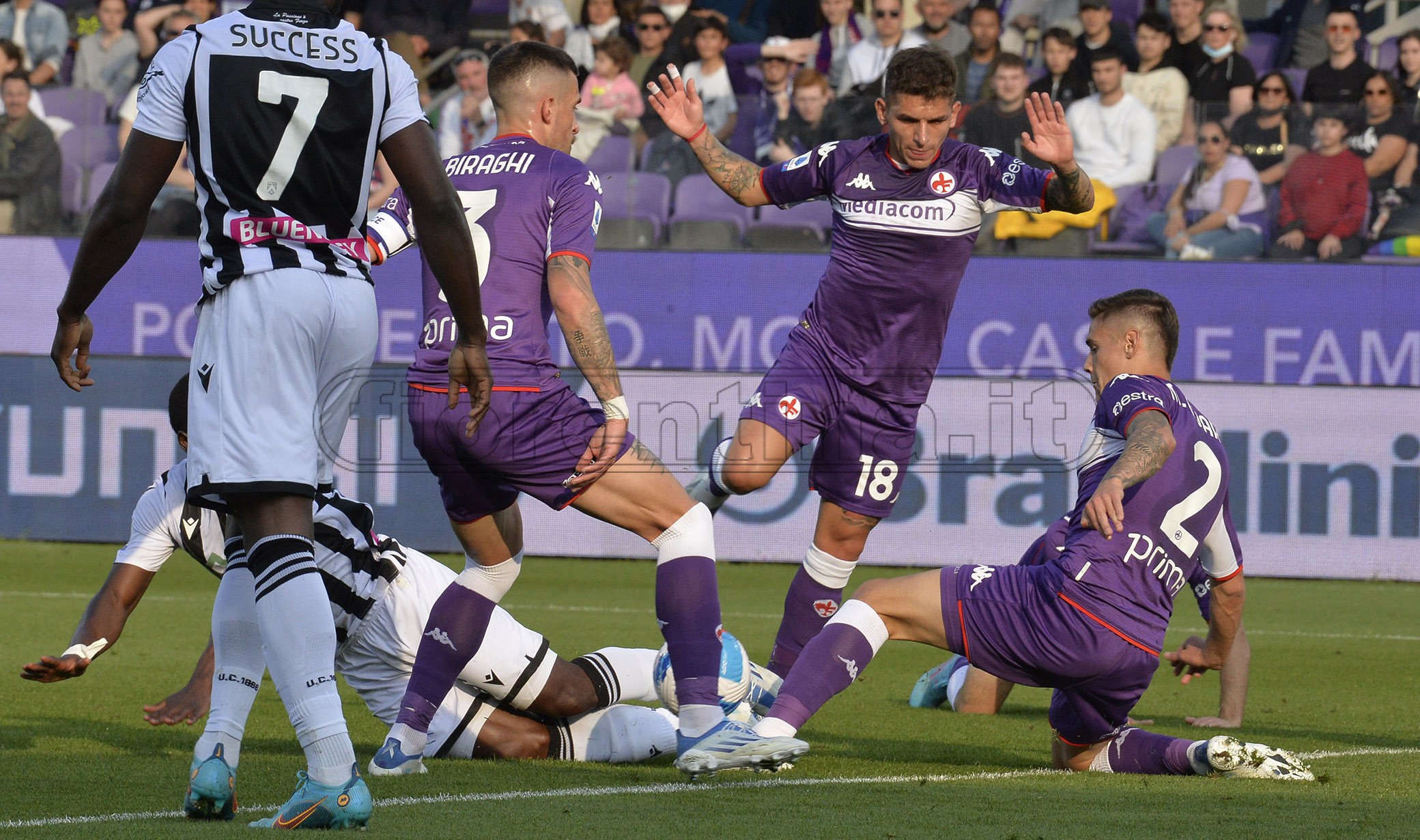 La giornata viola, il riassunto