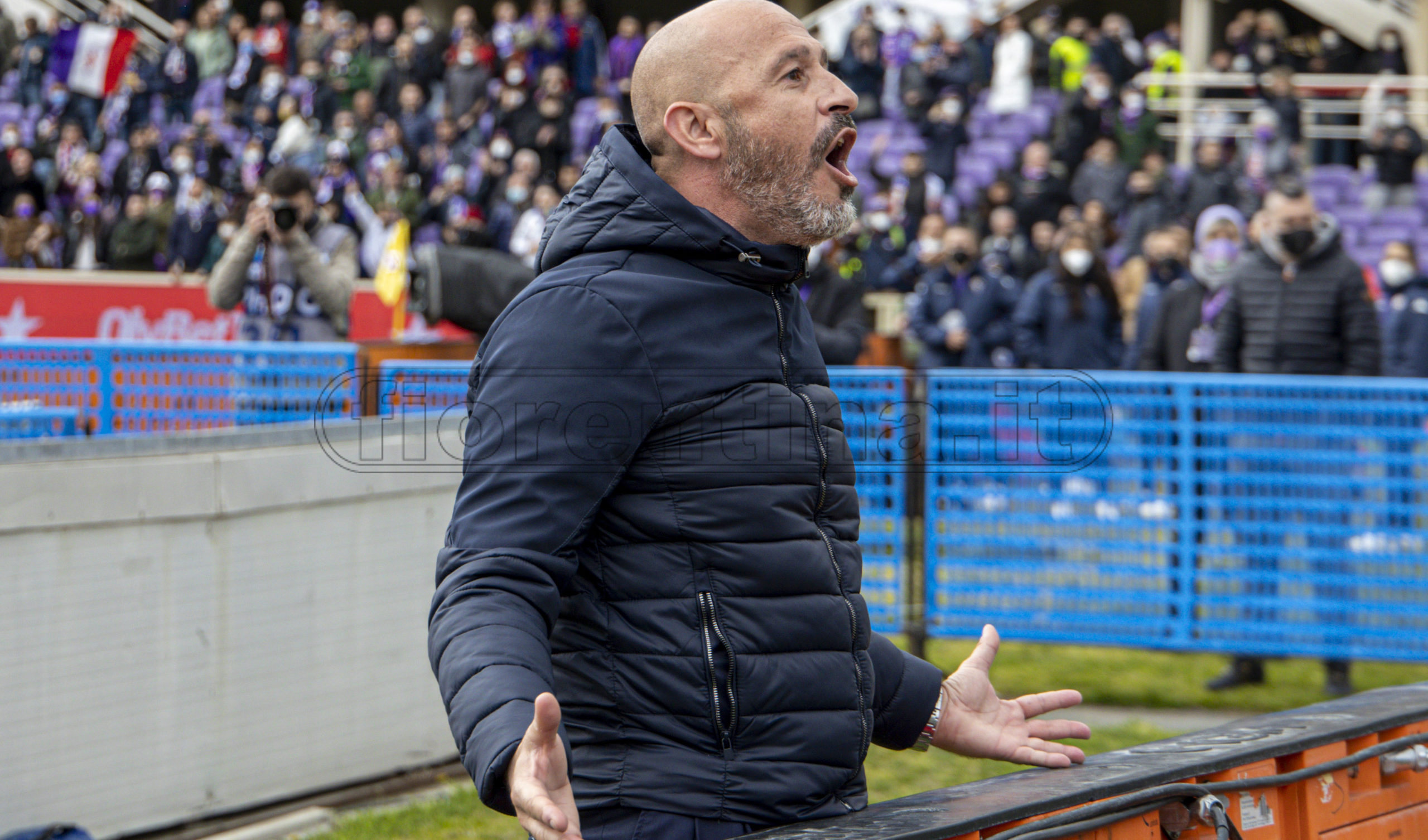 La giornata viola, il riassunto