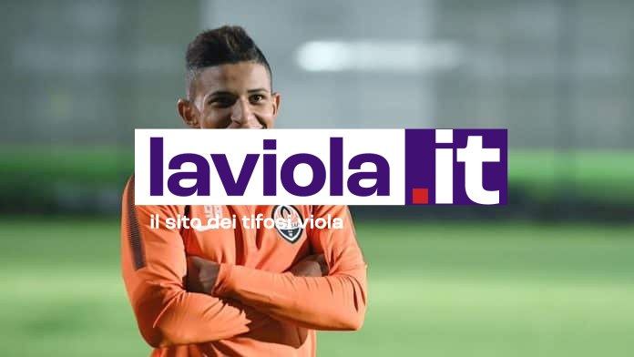 La giornata viola: il riassunto