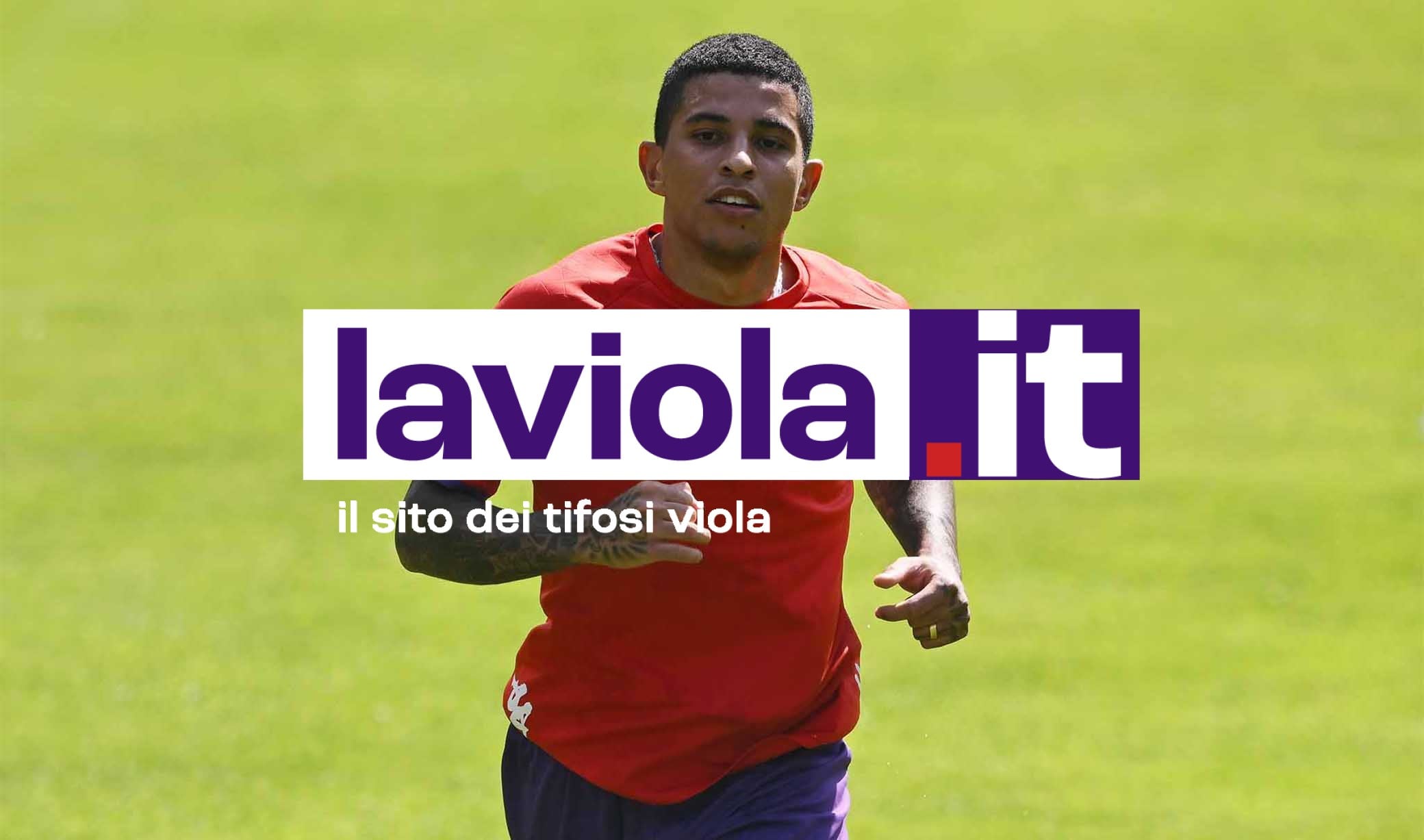 IND. VI.IT - Dodô tornerà in Brasile nelle prossime ore