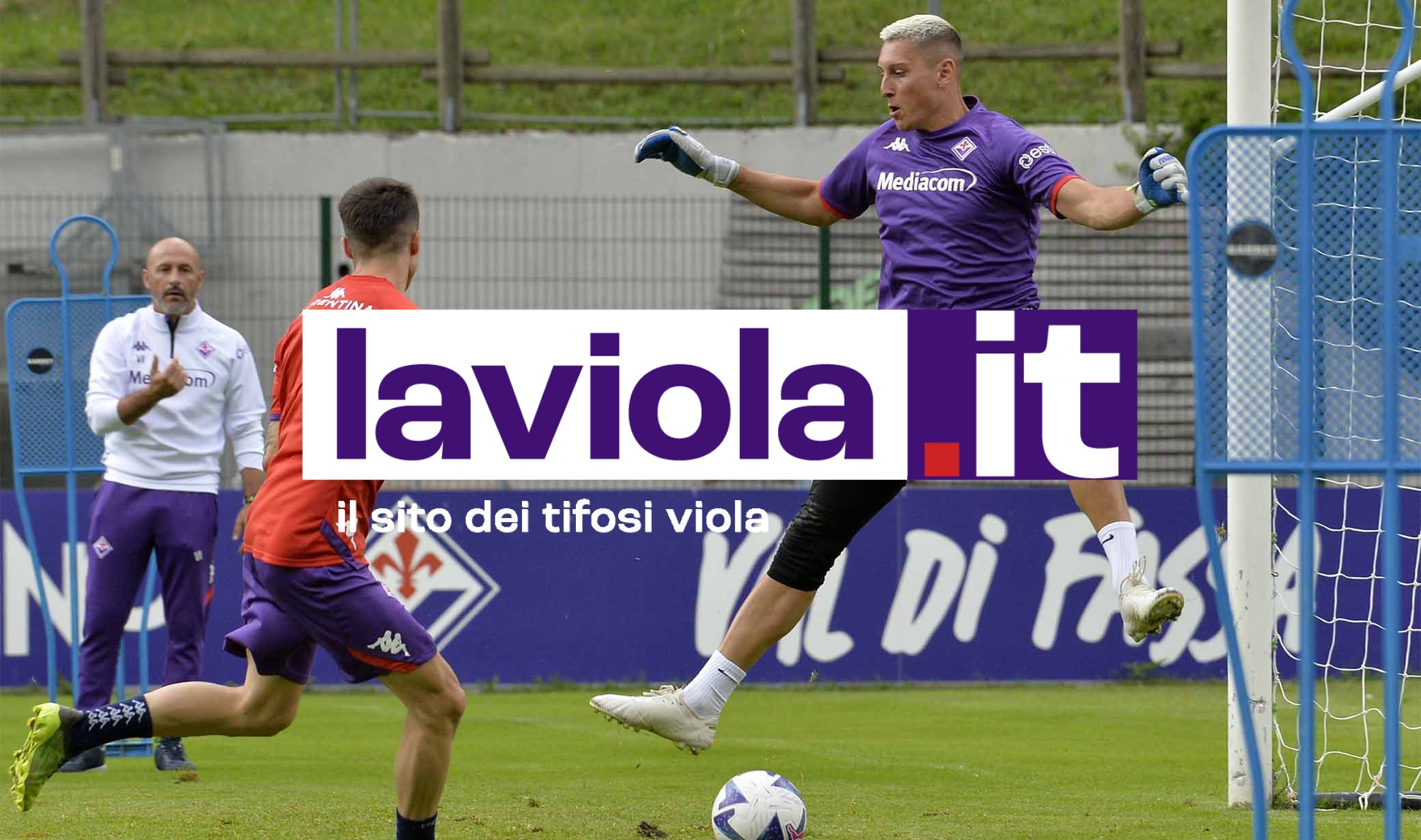 La giornata viola: il riassunto
