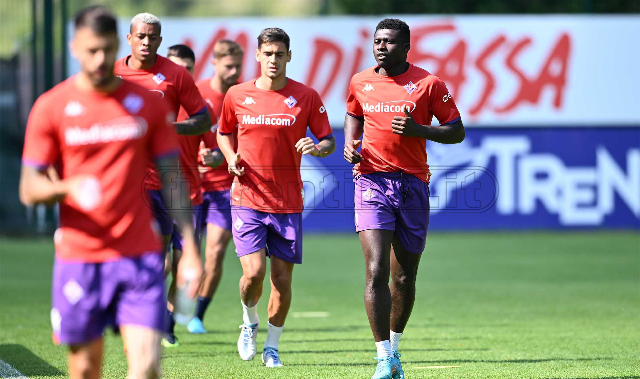 La giornata viola: il riassunto