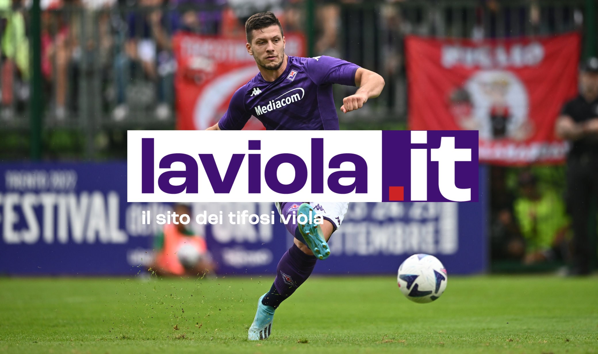 La giornata viola: il riassunto