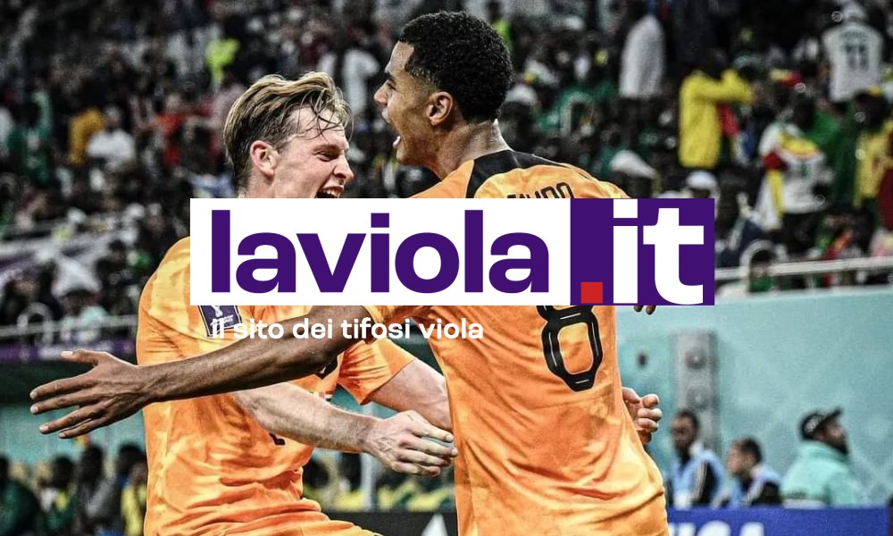 L'Olanda non brilla, ma batte il Senegal 2-0. A segno Gakpo e Klassen