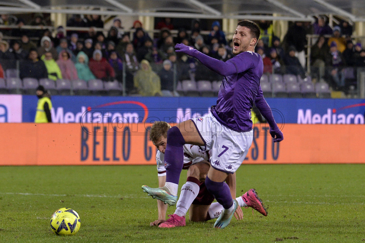 Le immagini di Fiorentina-Torino nella fotogallery di VI.IT