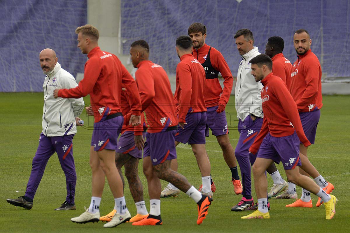 La giornata viola: il riassunto