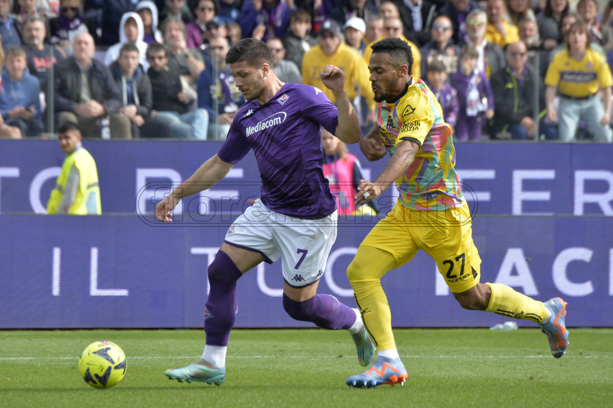 La giornata viola: il riassunto