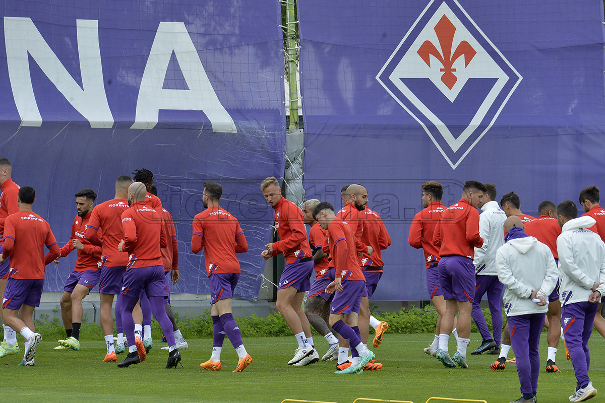 La giornata viola: il riassunto