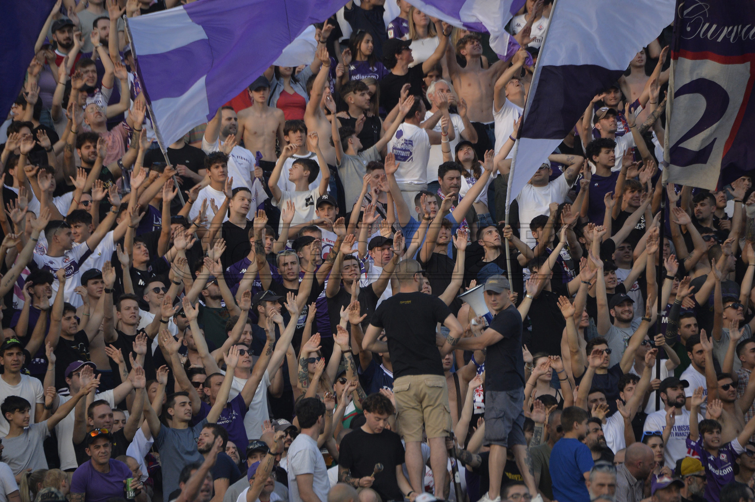 La giornata viola: il riassunto