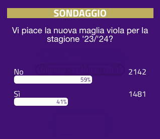 SONDAGGIO VI.IT - I tifosi bocciano la nuova maglia viola per la prossima stagione