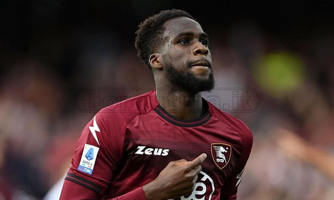 L'ultima settimana per Dia: la Fiorentina proverà ancora a convincere la Salernitana