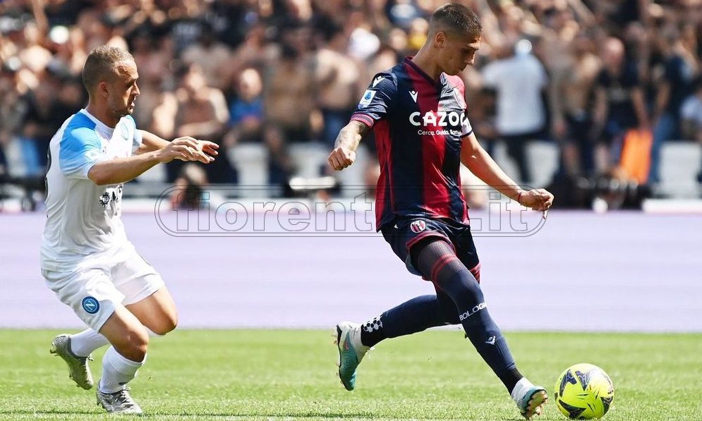 Bologna, Dominguez ancora nel mirino viola. Motta: "Con me solo gente motivata"