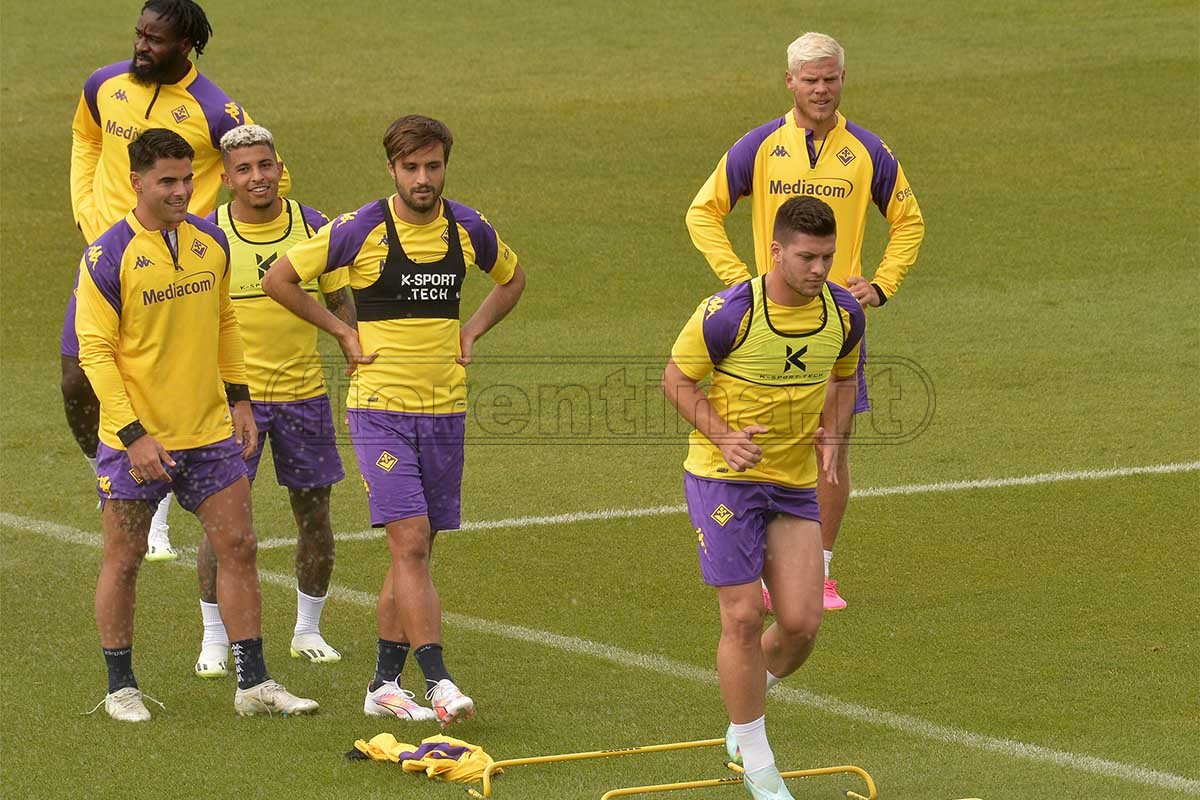 Fiorentina, il programma di oggi