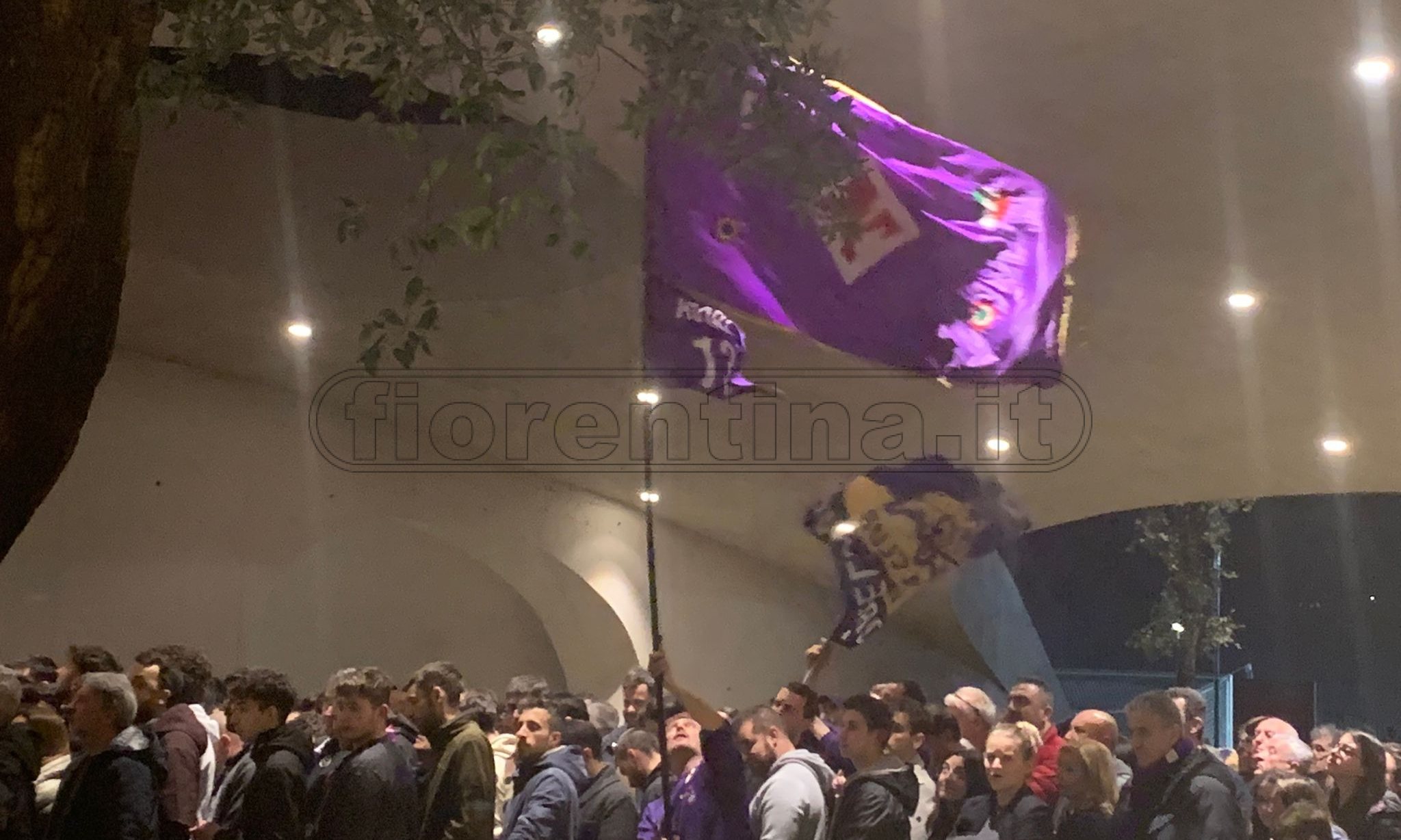 La giornata viola: il riassunto